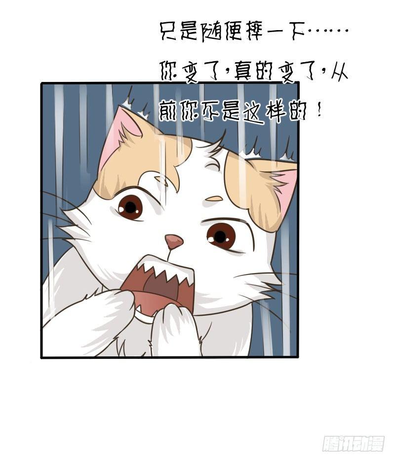 第四十一话 你变了！-第41话