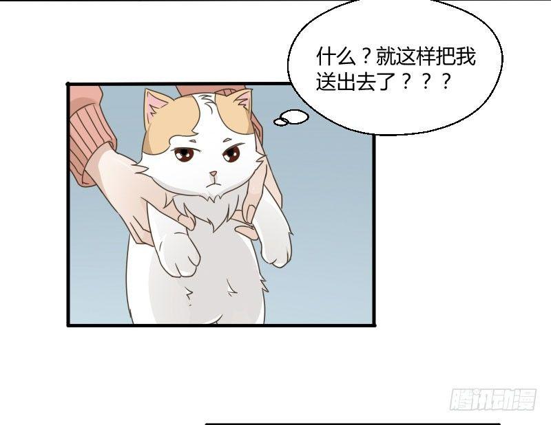 第四十一话 你变了！-第41话