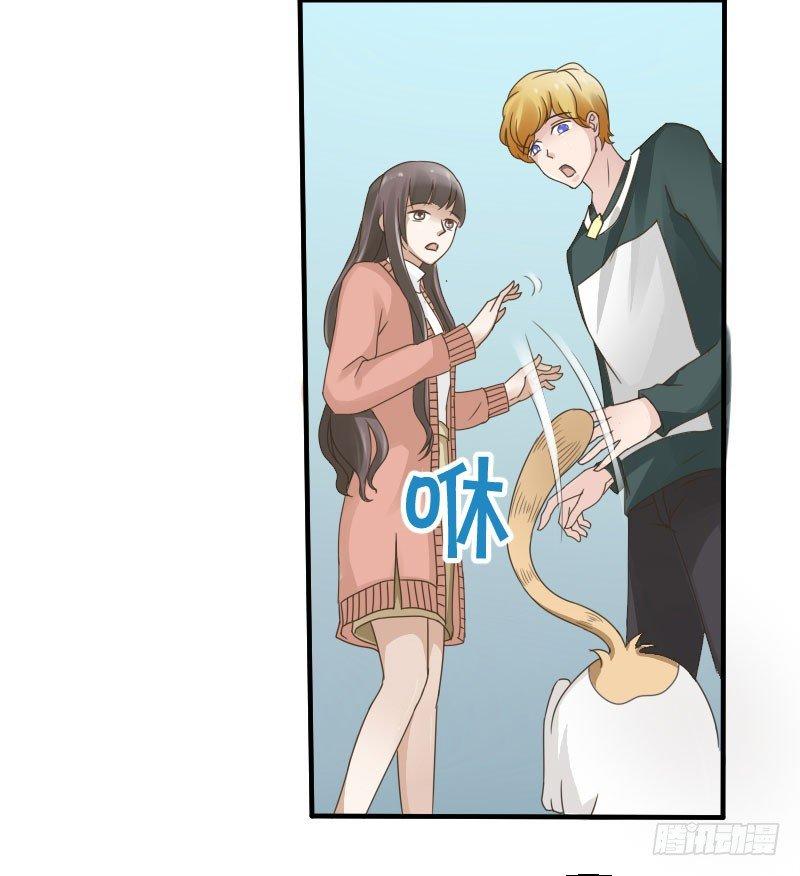 第四十一话 你变了！-第41话