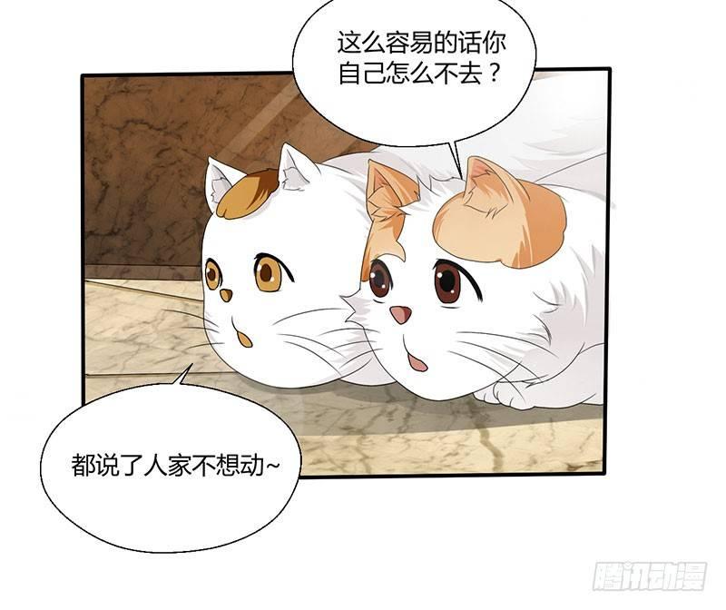 第四十三话 杜仲喵的打工生涯-第43话