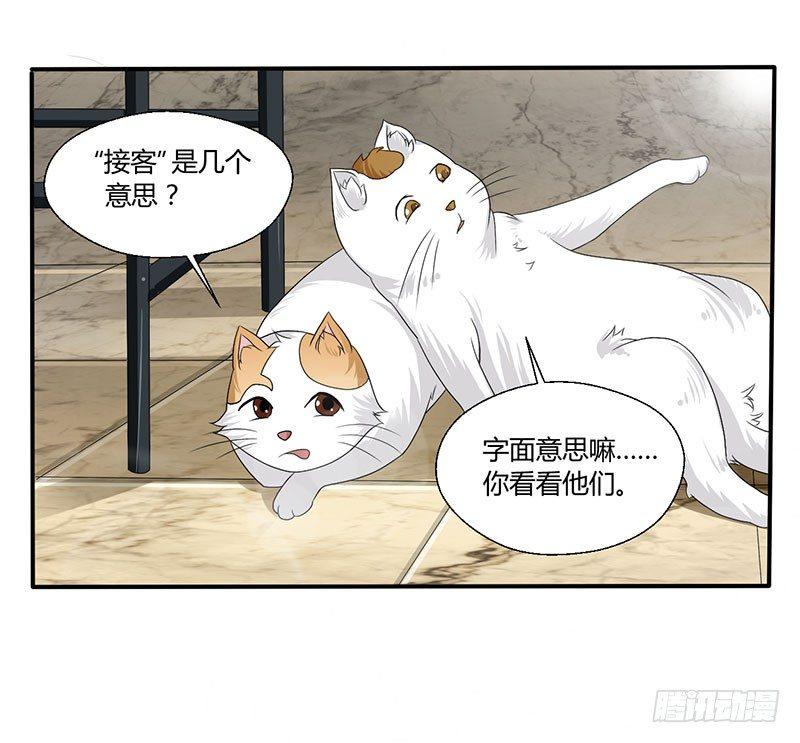 第四十三话 杜仲喵的打工生涯-第43话