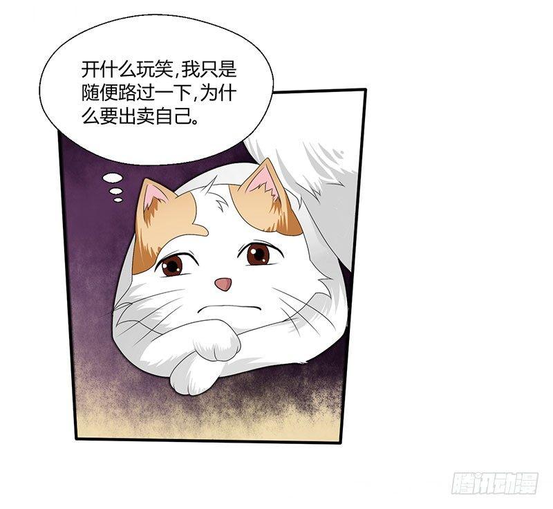 第四十三话 杜仲喵的打工生涯-第43话