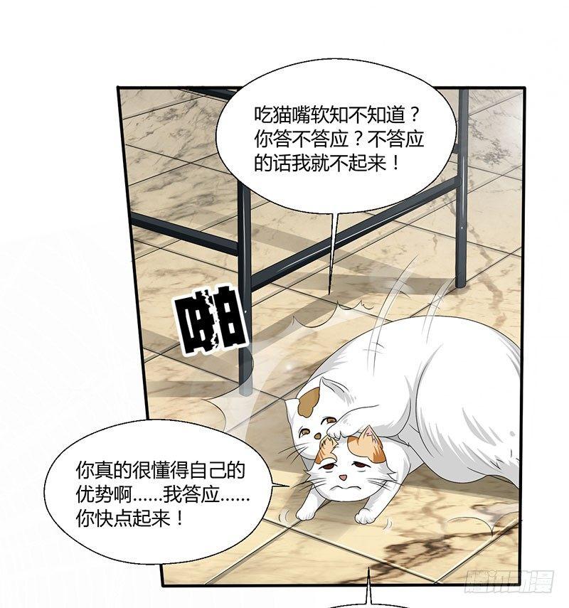 第四十三话 杜仲喵的打工生涯-第43话