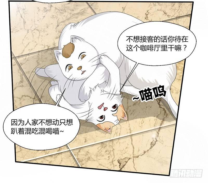第四十三话 杜仲喵的打工生涯-第43话