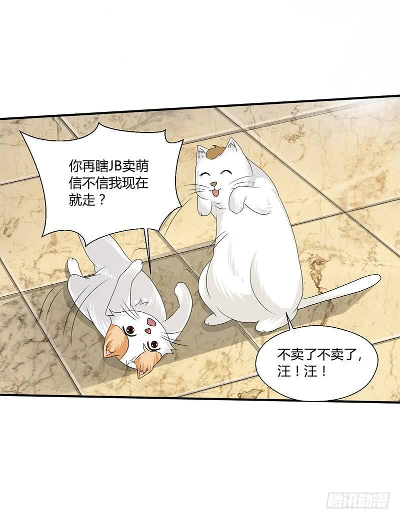 第四十三话 杜仲喵的打工生涯-第43话