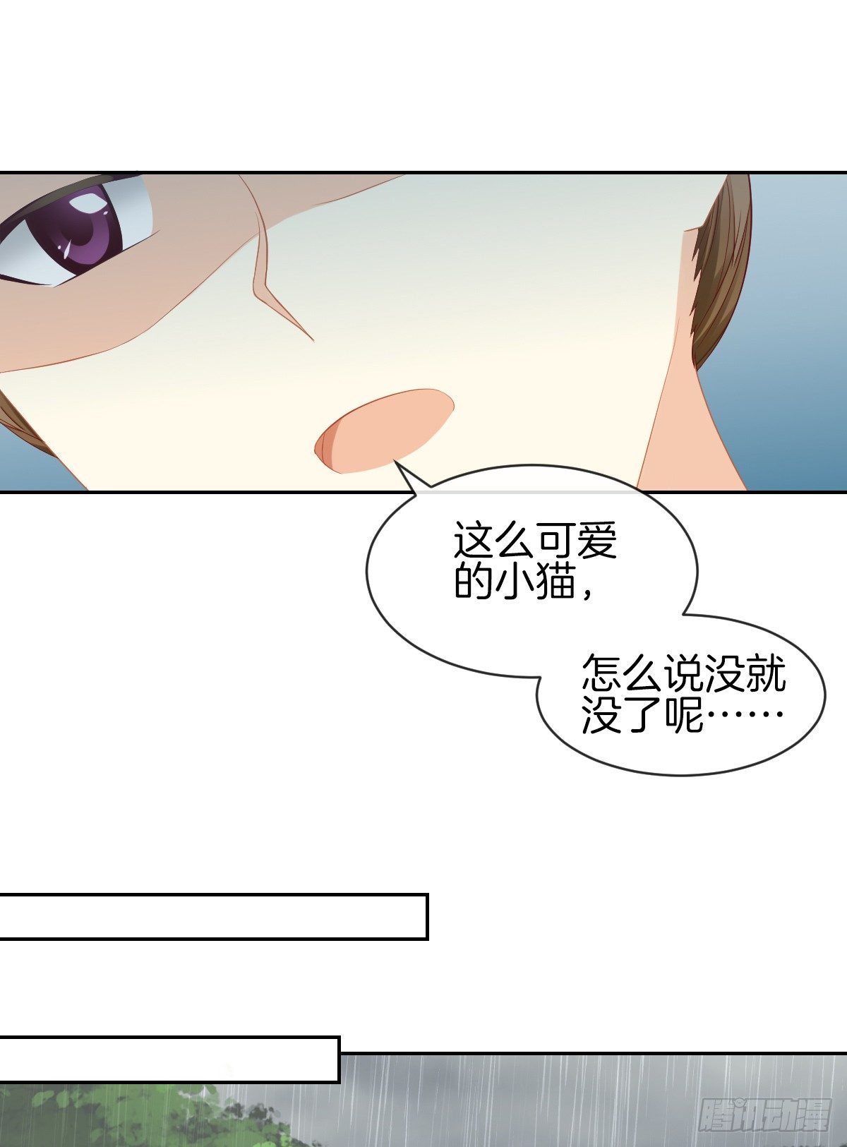 空空如也的猫咪公墓(1/2)-第29话
