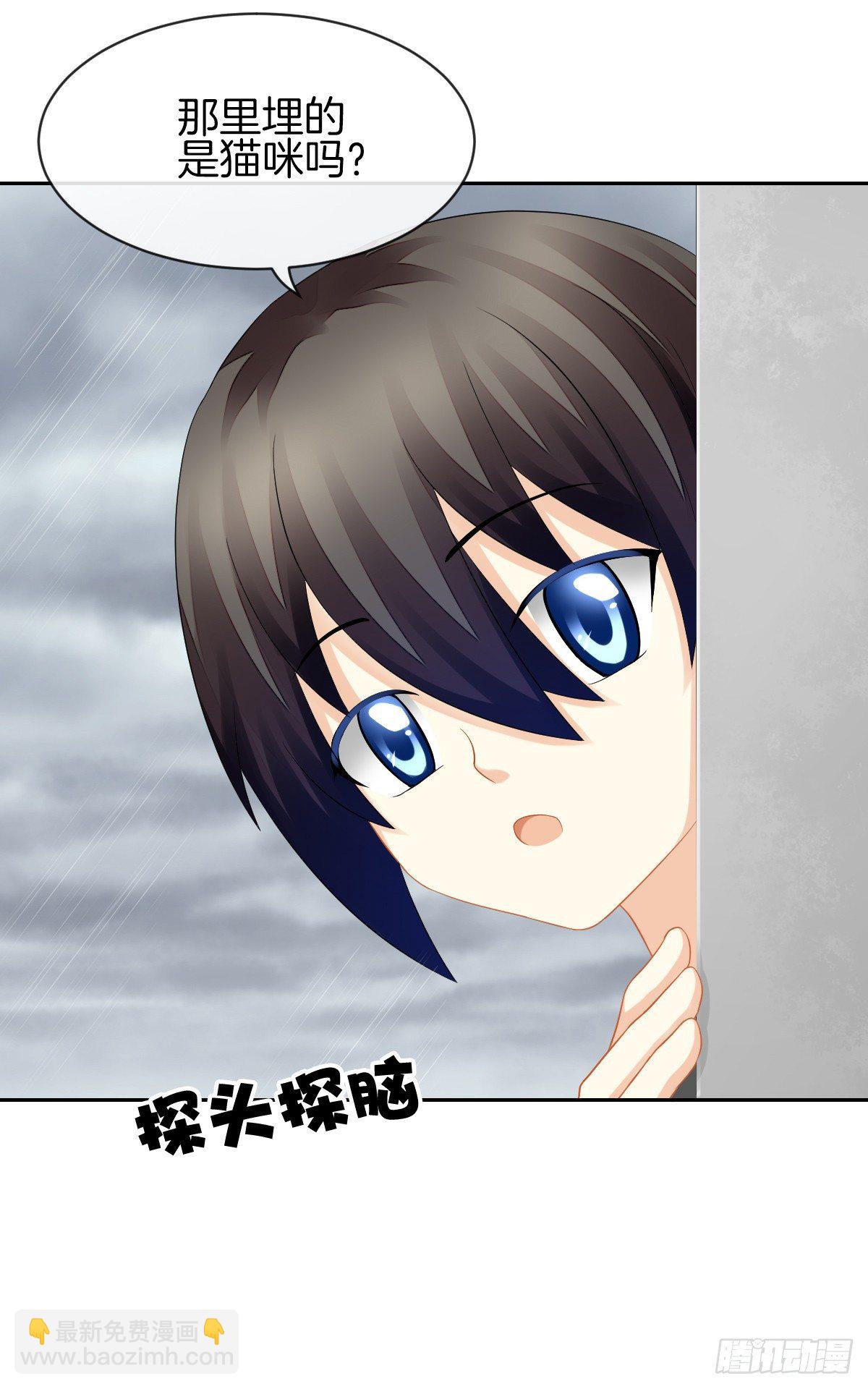 空空如也的猫咪公墓(1/2)-第29话