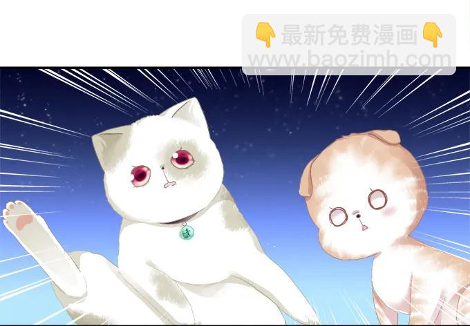 迷之救兵-第115话