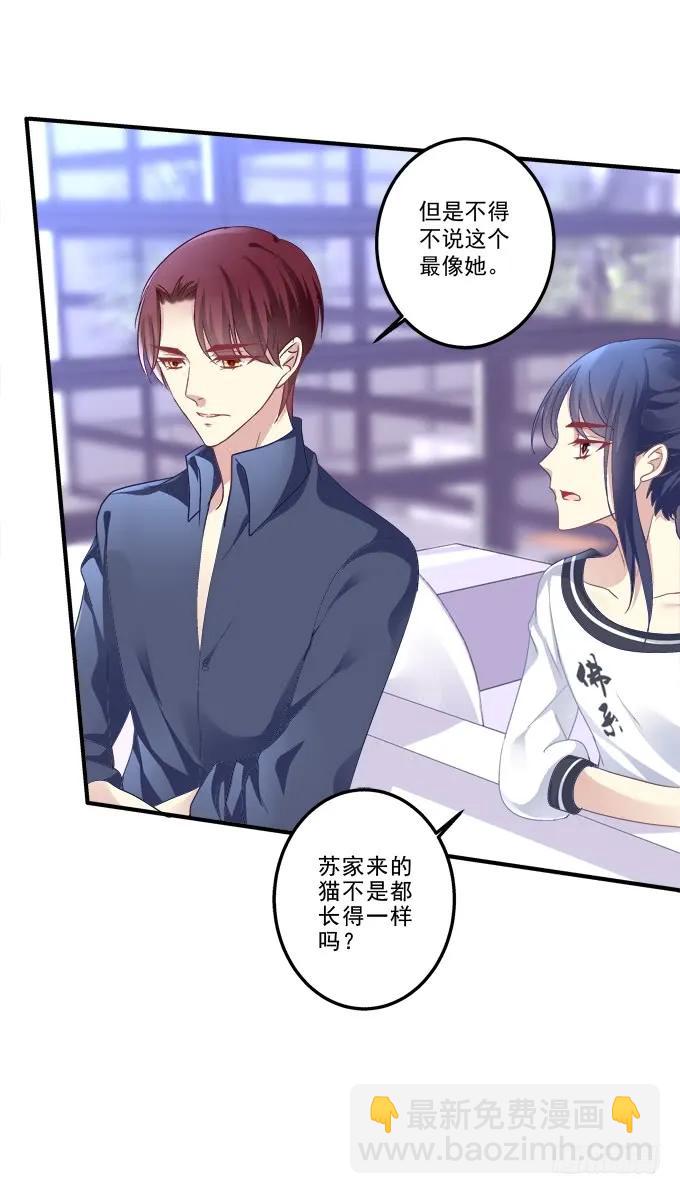 情敌见面(1/2)-第141话