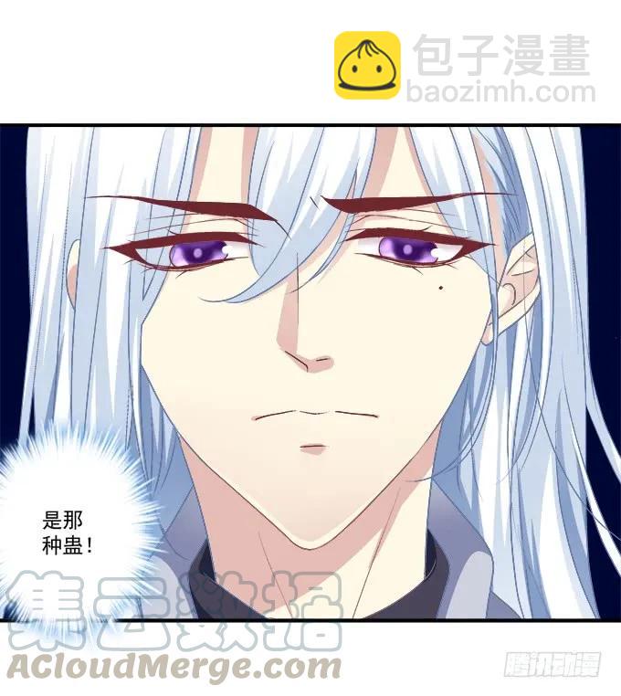 凤凰冢一(1/2)-第189话