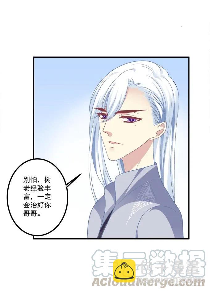 凤凰冢一(1/2)-第189话