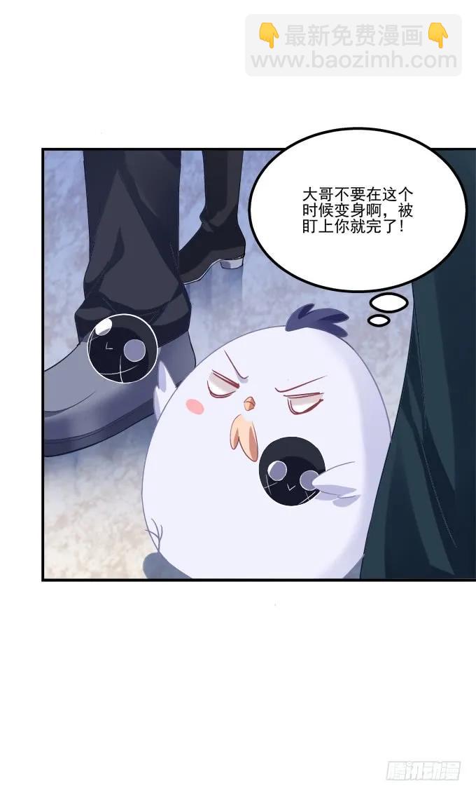 凤凰冢十三(1/2)-第201话