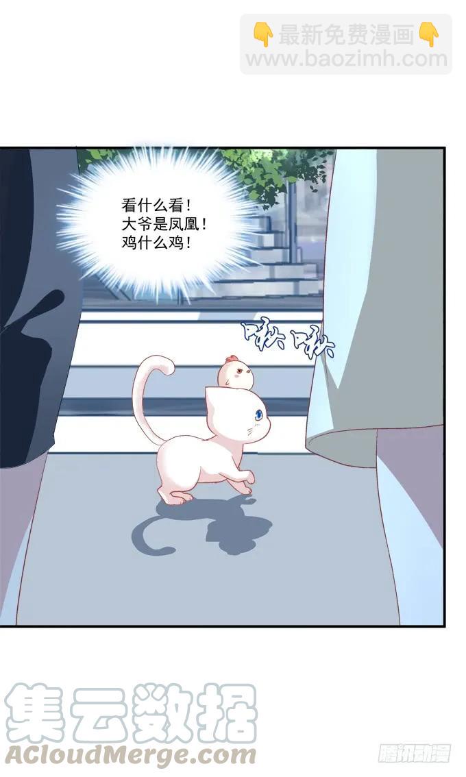 凤凰冢十五(1/2)-第203话