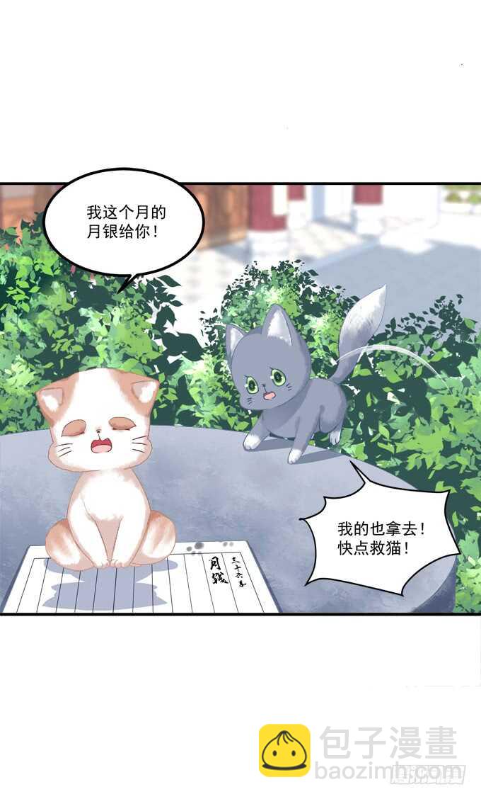 逃跑去见卿哥！(1/2)-第227话