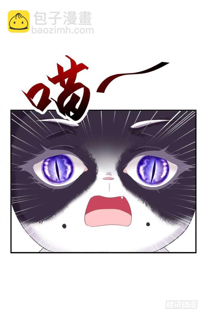 逃跑去见卿哥！(1/2)-第227话