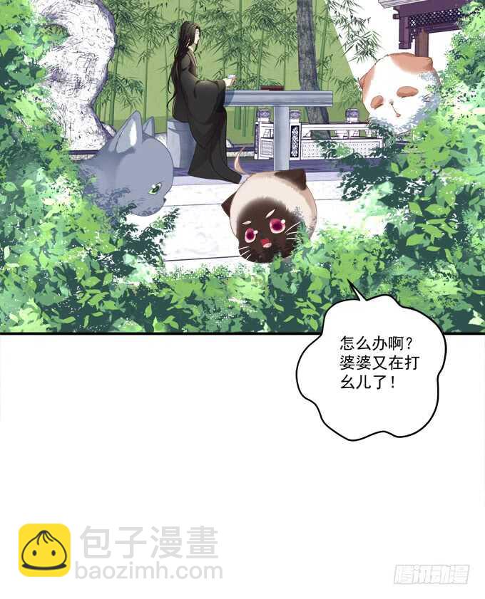 逃跑去见卿哥！(1/2)-第227话