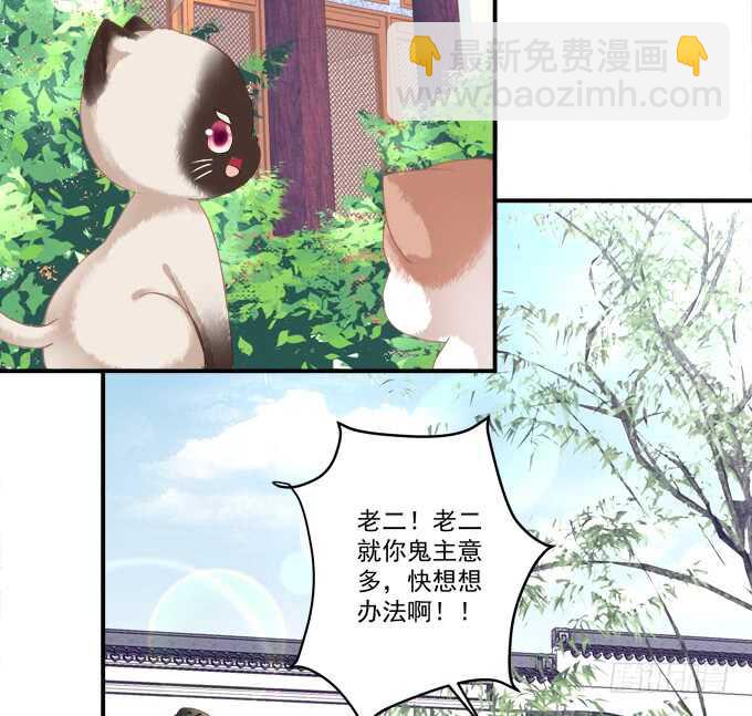 逃跑去见卿哥！(1/2)-第227话