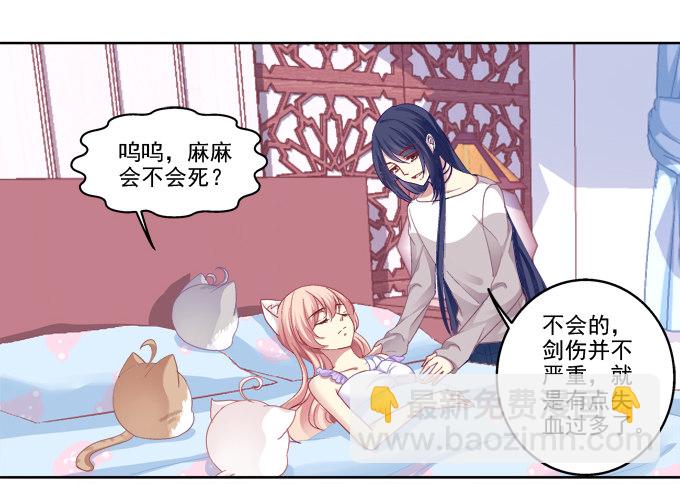 看爸妈生小毛球！-第27话