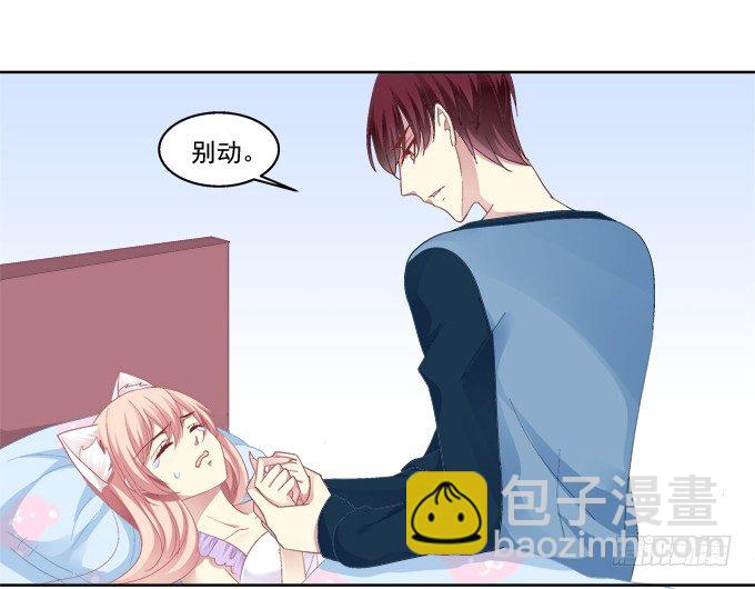 看爸妈生小毛球！-第27话
