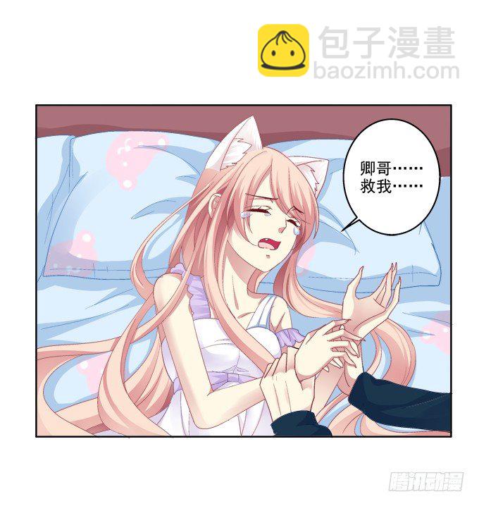 看爸妈生小毛球！-第27话