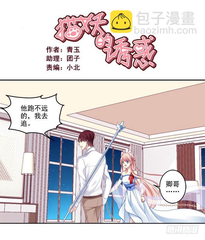 看爸妈生小毛球！-第27话