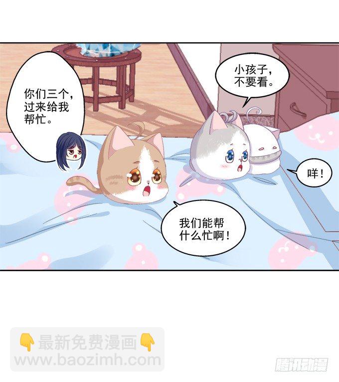 看爸妈生小毛球！-第27话