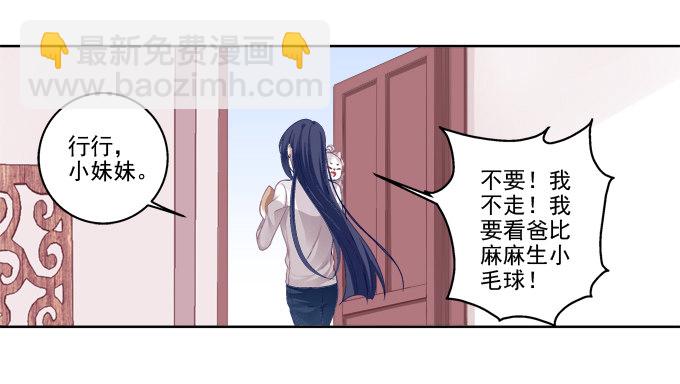 看爸妈生小毛球！-第27话
