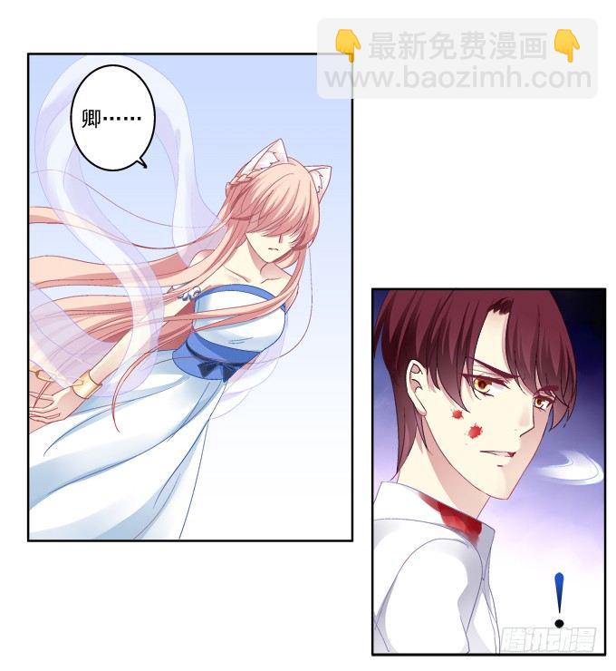 看爸妈生小毛球！-第27话