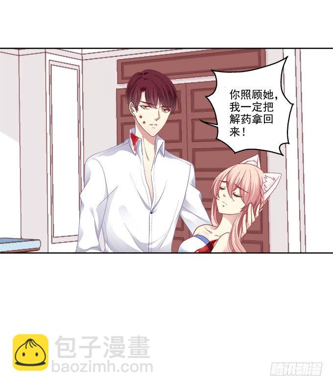 看爸妈生小毛球！-第27话