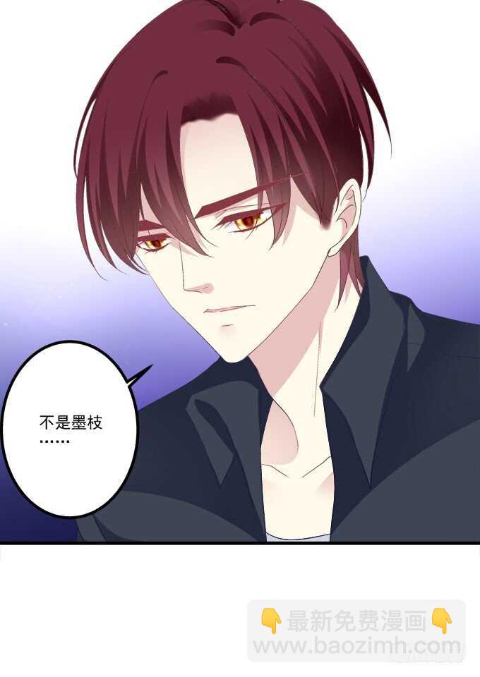 真假沈墨卿！(1/2)-第285话