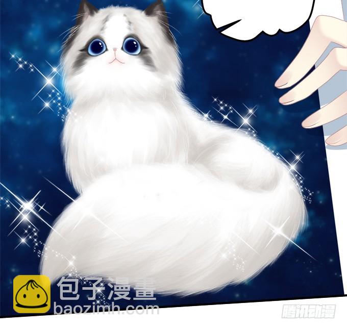 洞房花烛夜！(1/2)-第313话