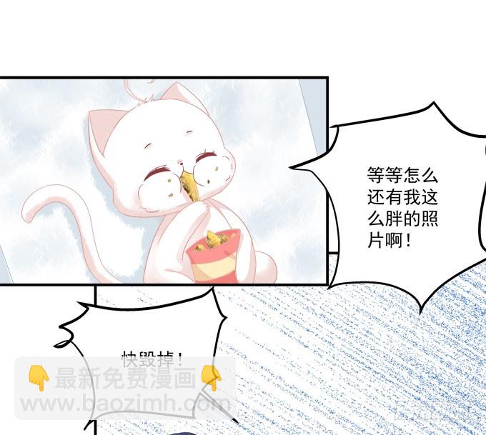 洞房花烛夜！(1/2)-第313话