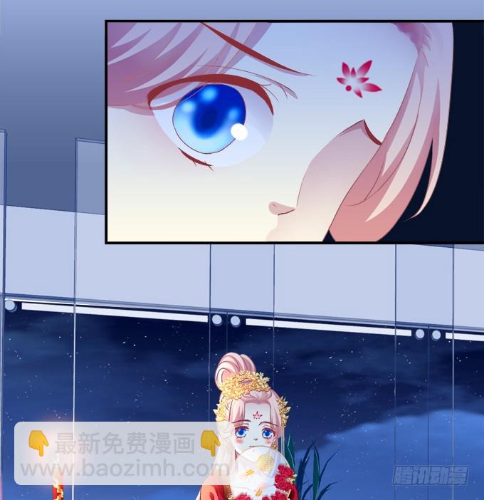 洞房花烛夜！(1/2)-第313话