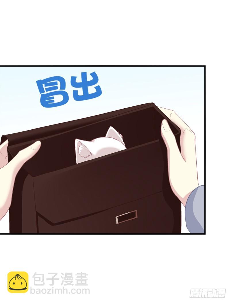 沈墨卿是个渣男！(1/2)-第339话