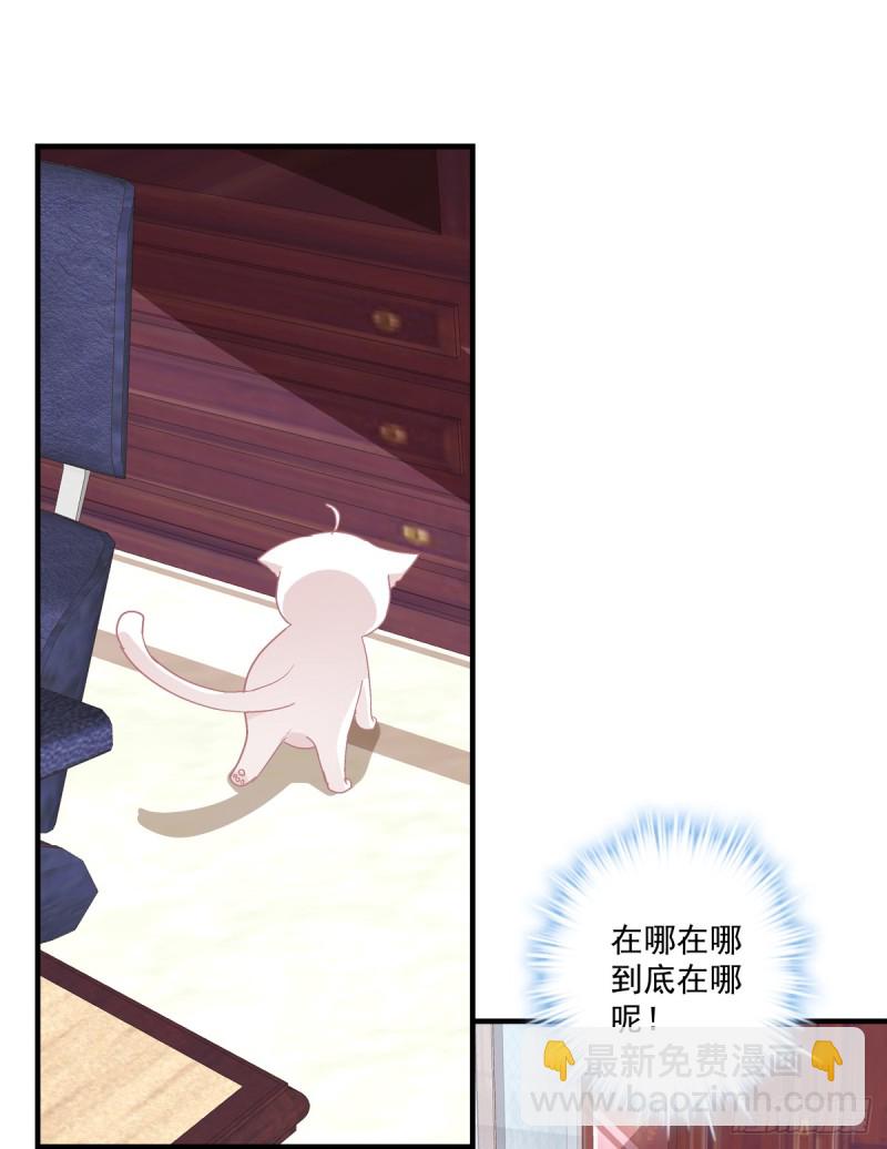 沈墨卿是个渣男！(1/2)-第339话