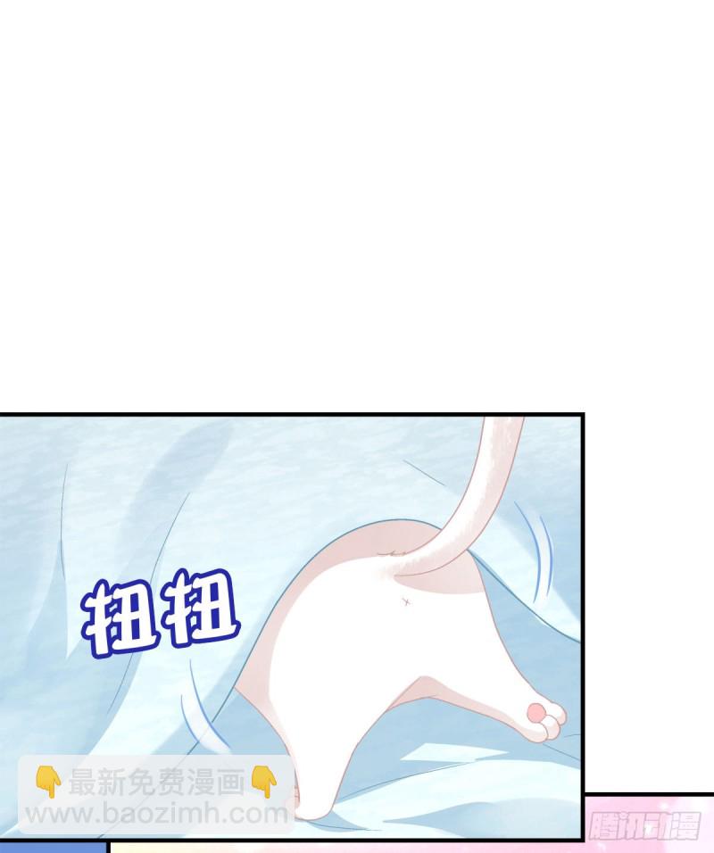 沈墨卿来选美呀！(1/2)-第349话
