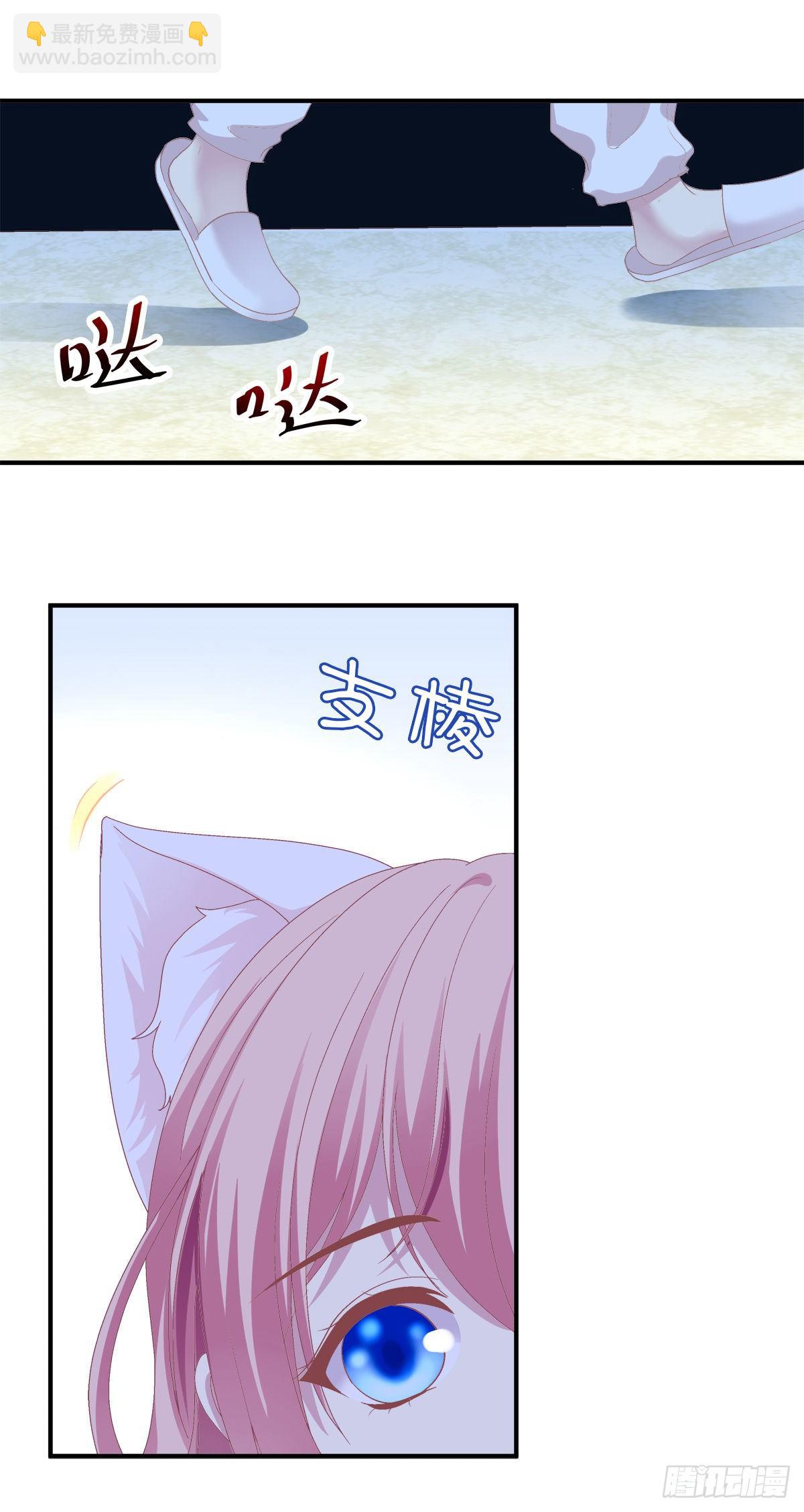 猫和凤凰虐狗啦！(1/2)-第335话