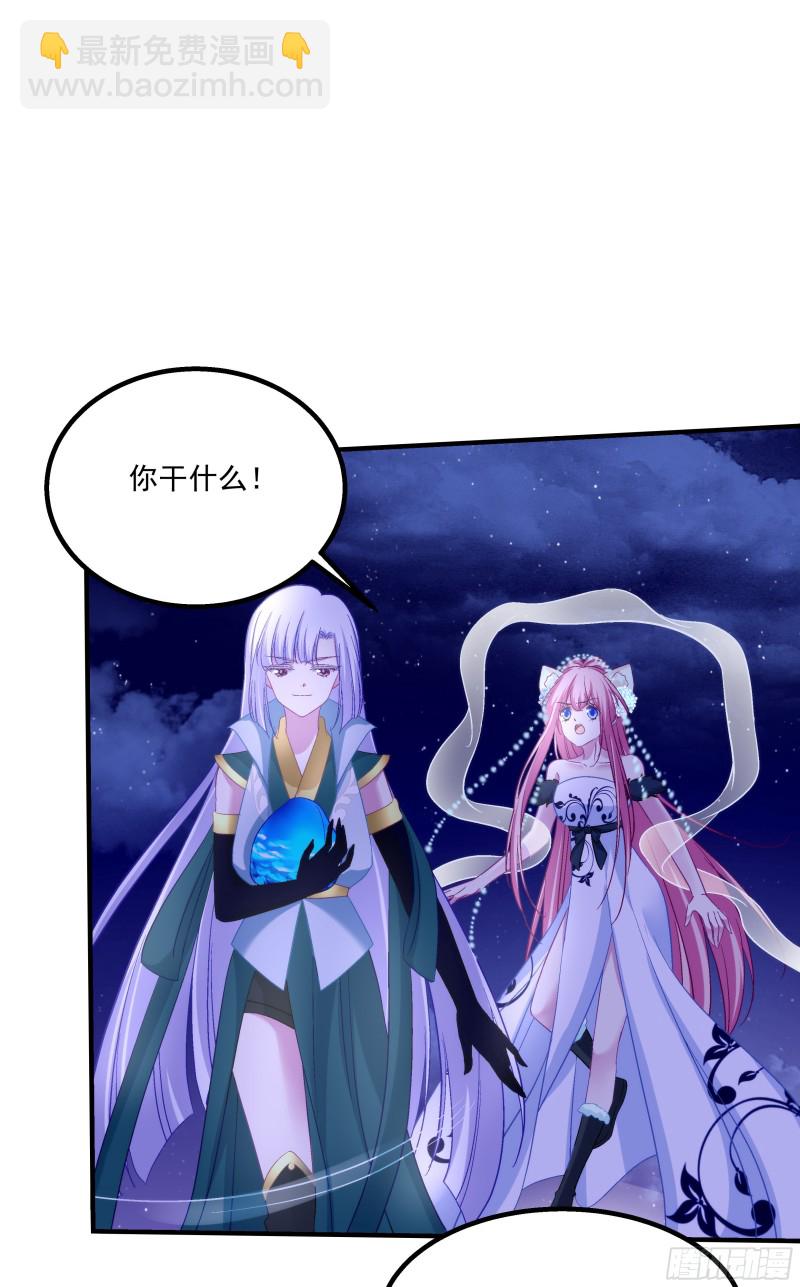 是谁带走了猫儿？！-第361话