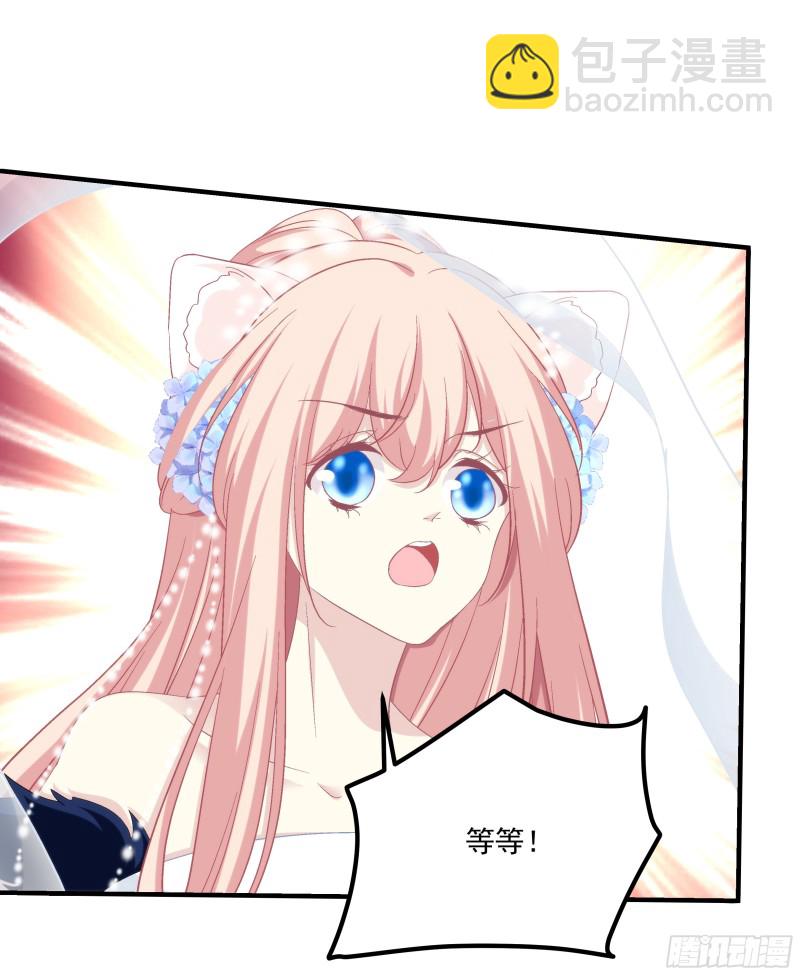 是谁带走了猫儿？！-第361话