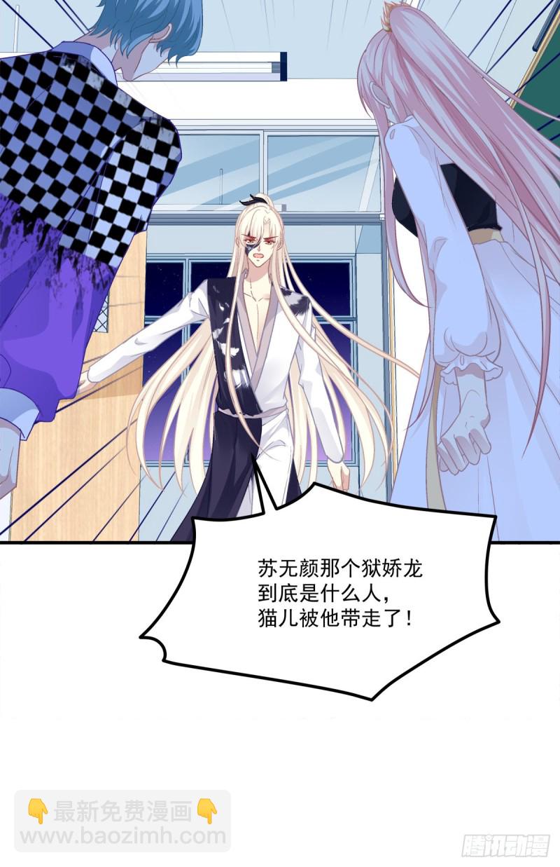 是谁带走了猫儿？！-第361话