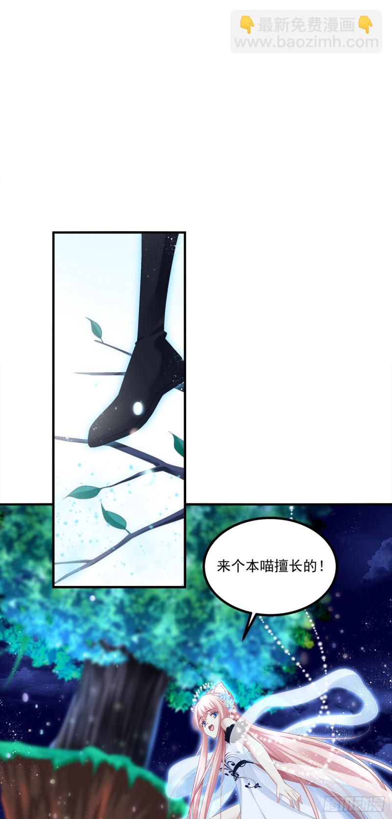 是谁带走了猫儿？！-第361话