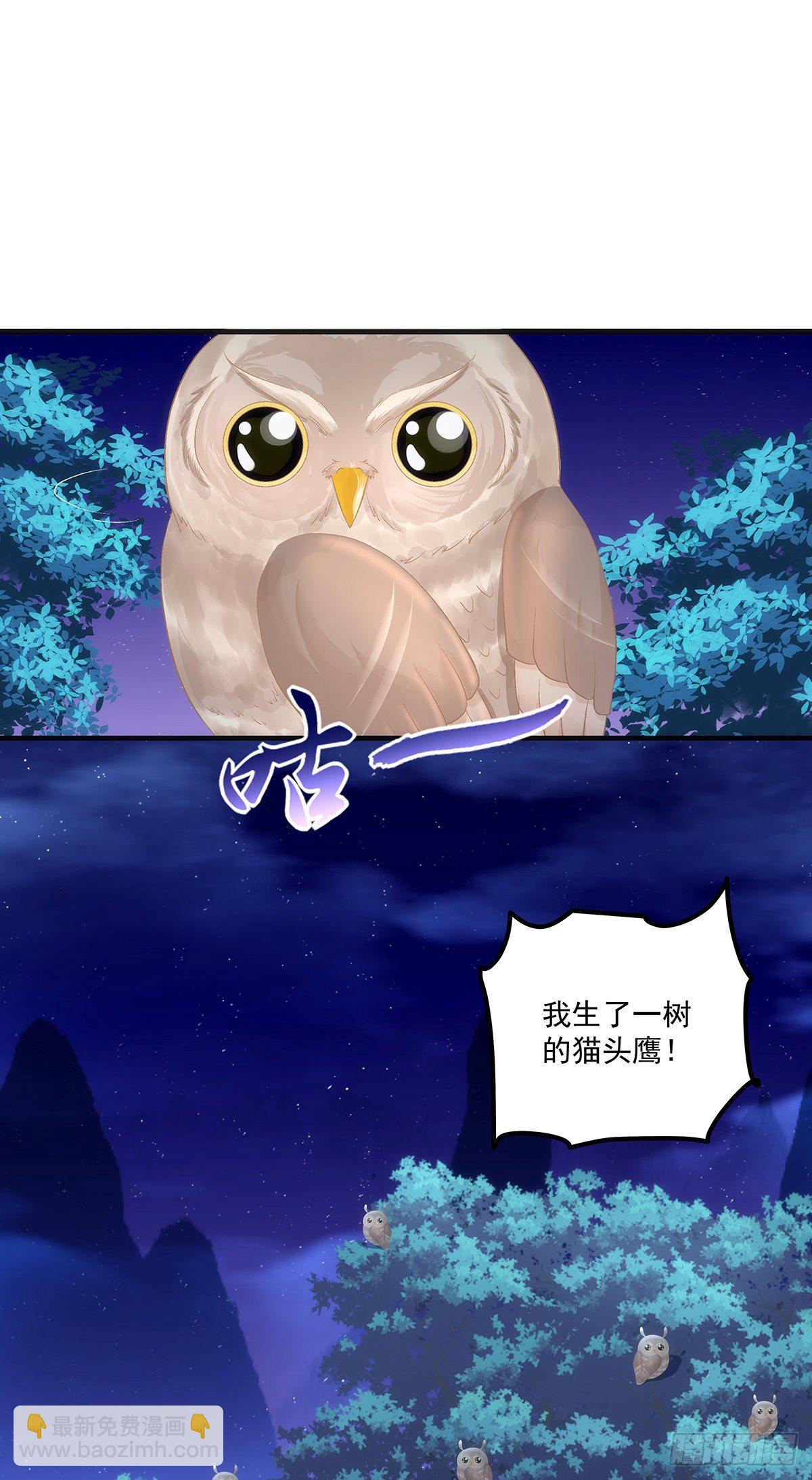 我竟然生了猫头鹰！！-第381话
