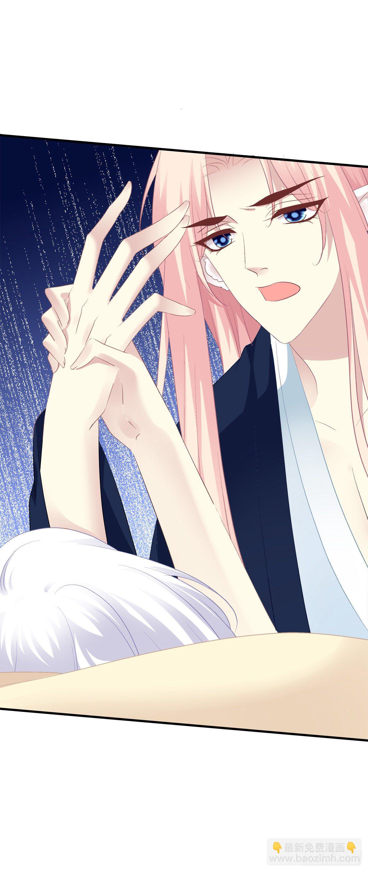 我竟然生了猫头鹰！！-第381话