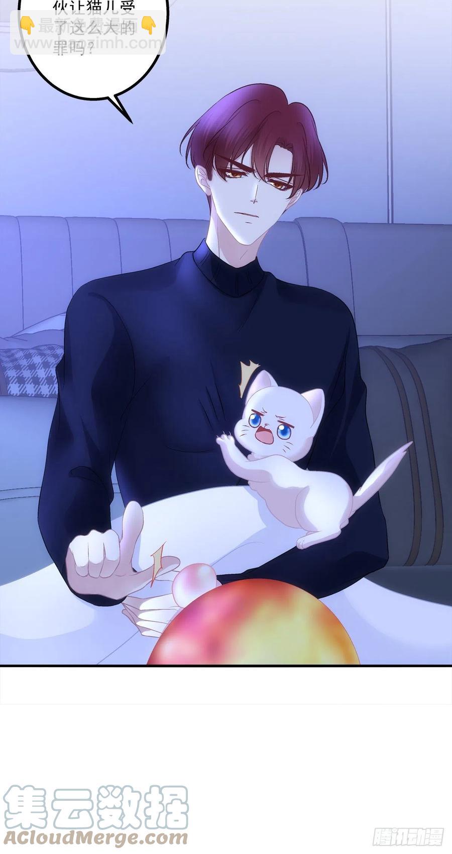猫儿下了个蛋！-第407话