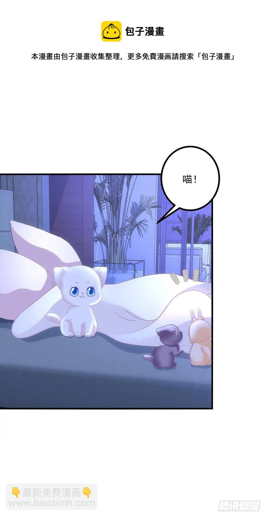 猫儿下了个蛋！-第407话