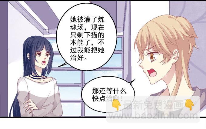 鸡飞猫跳-第43话