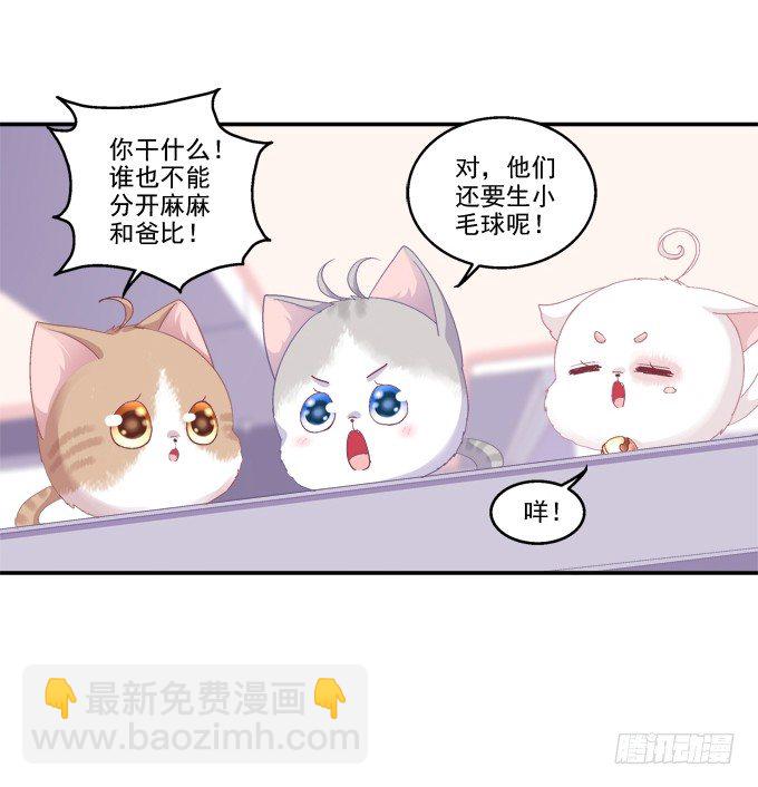 鸡飞猫跳-第43话
