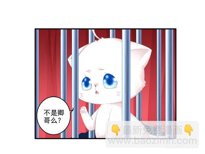 春心萌动(1/2)-第77话