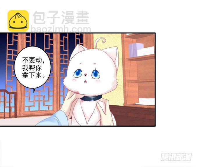 卿卿我我(1/2)-第79话