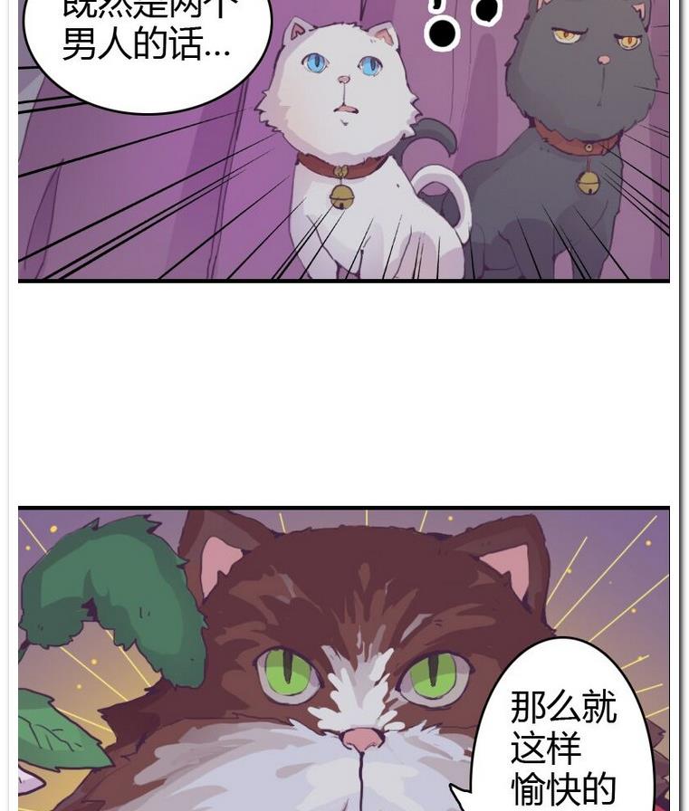 第1话 许愿喵仙人-第1话